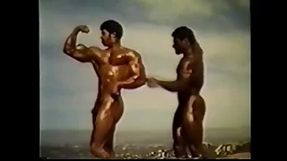 4602 black porn videos